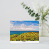 モロカイ葉書 ポストカード (スタンド正面)