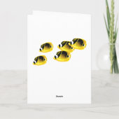 モロキニコーブハワイアントロピカルフィッシュシーカメ カード (裏面)