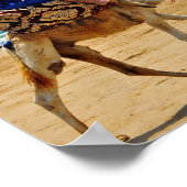 モロッコのアラブ乗りカメルシーサイドビーチ ポスター (角)