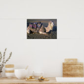 モロッコのメルツガ近郊サハラ砂漠 ポスター (キッチン)