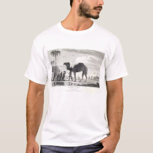 モロッコチュニジアをエッチングするオアシスのヴィンテージのラクダ Tシャツ