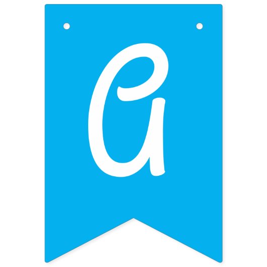 モロッコペイズリーかわいいカラフル誕生日パーティー バンティングフラッグ (第3の旗)