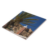 モロッコ、アンチアトラス、タウロス周辺：DAI、Red タイル (側面)