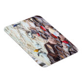 モロッコ,フェスタンネリー マグネット (右側)