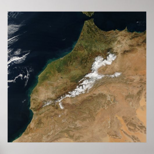 モロッコ ポスター (正面)