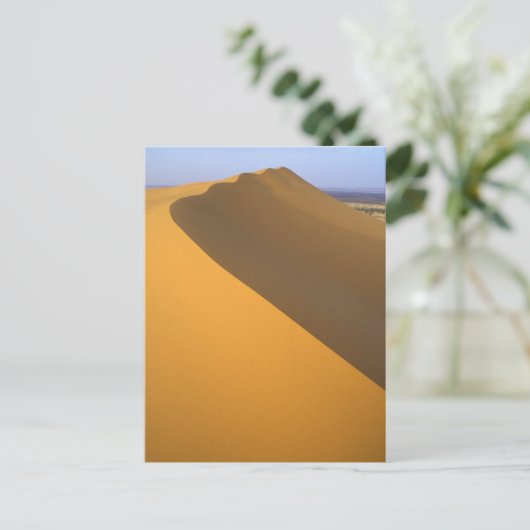 モロッコ ポストカード (スタンド正面)