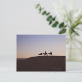 モロッコ，ラクダに乗る人々 ポストカード (スタンド正面)