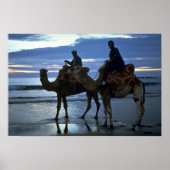 モロッコ，ラクダ ポスター (正面)