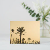 モロッコ,夕暮れのヤシの木 ポストカード (スタンド正面)