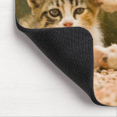 モロッコ，子猫2 マウスパッド (コーナー)