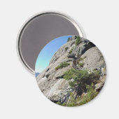 モロロックセコイアパーク マグネット (正面/裏面)