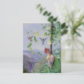 モロ・ヴェーリョの水道橋、ブラジル マリアンヌ・ノース ポストカード (スタンド正面)