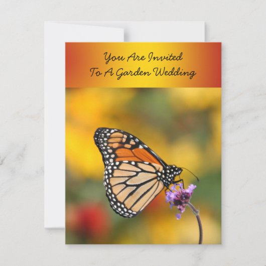 モンアーキ蝶の花粉探しの旅 招待状 (正面)