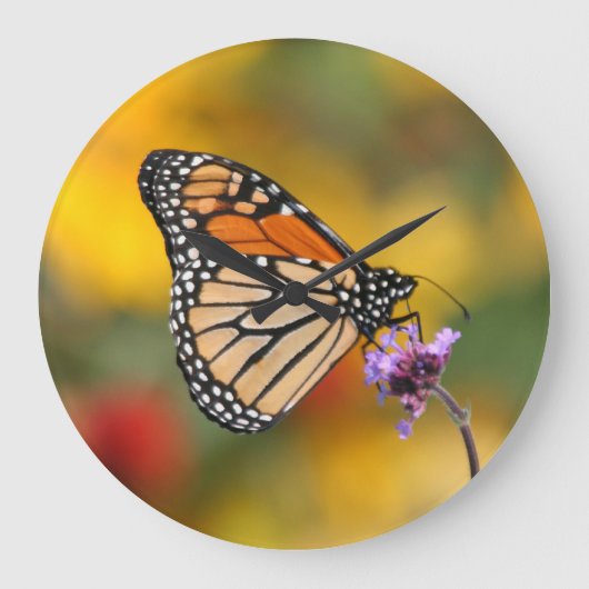 モンアーキ蝶の花粉探索 ラージ壁時計 (正面)