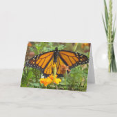 モンアーク蝶のグリーティングカード カード (裏面)