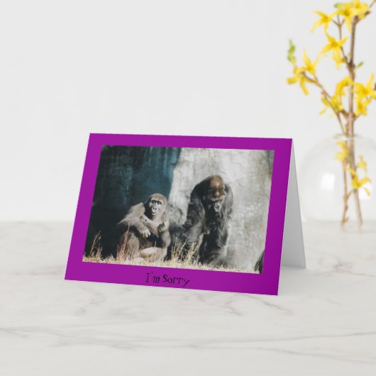 モンカー カード (黄色い花)