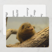 モンガースツリーブランチ 招待状 (正面/裏面)