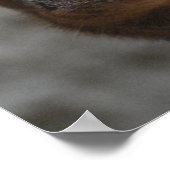 モンガースポスター ポスター (角)