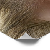 モンキーおもしろいポートレート ポスター (角)