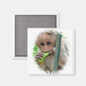 モンキーおもしろい写真磁石 マグネット (正面/裏面)