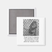 モンキーおもしろい勇気付けられる磁石 マグネット (正面/裏面)