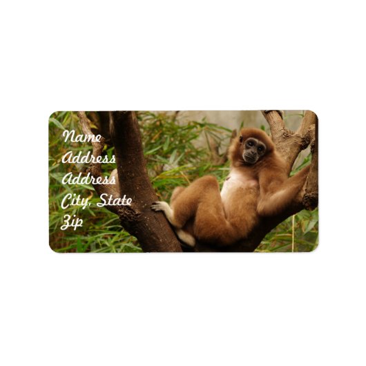 モンキーアドレスステッカー ラベル (正面)