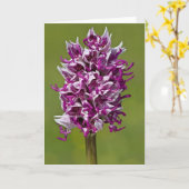 モンキーオーキッド – グリーティングカード (黄色い花)