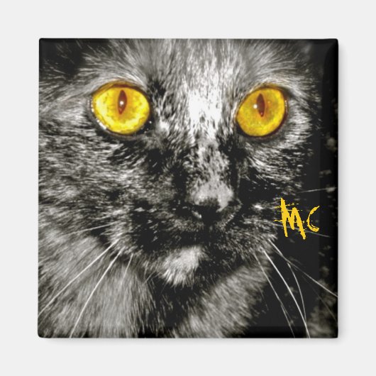 モンキーキャットマグネット マグネット (正面)