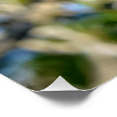 モンキークール写真 ポスター (コーナー)