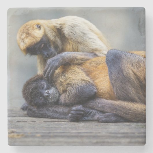 モンキーコースター ストーンコースター (正面)