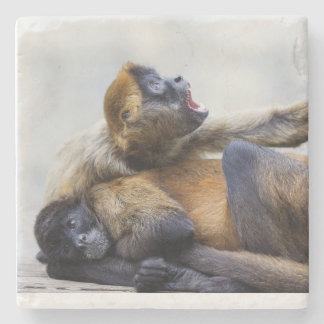 モンキーコースター ストーンコースター