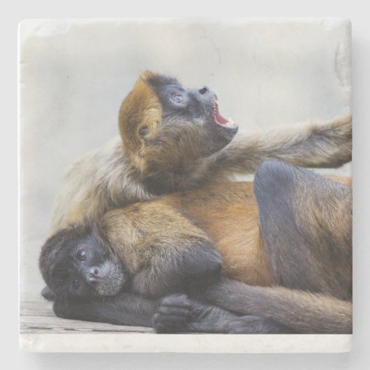 モンキーコースター ストーンコースター (正面)