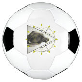 モンキージオメトリ サッカーボール (回転)