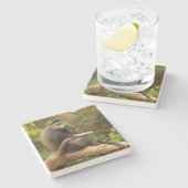 モンキースクエアコースター ストーンコースター (横)