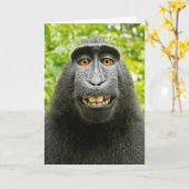 モンキーセルフィー カード (黄色い花)