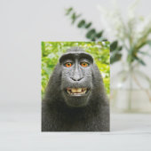 モンキーセルフィー ポストカード (スタンド正面)