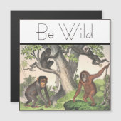 モンキーチ感動的ンパンジーヴィンテージ (正面/裏面)