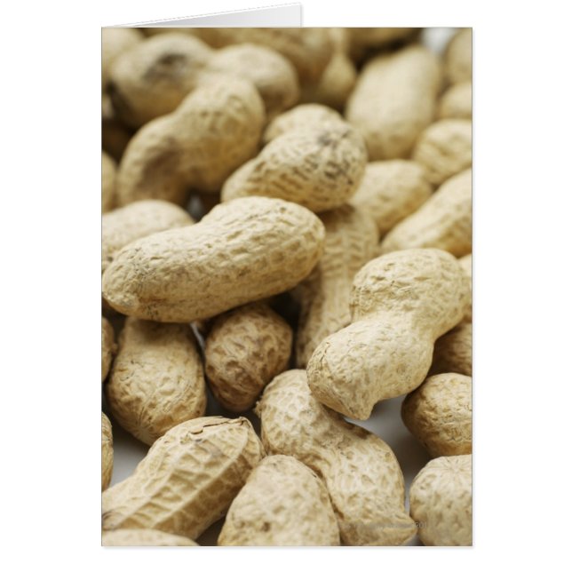 モンキーナッツ。 (正面)