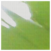 モンキーバナナツリー生地 ファブリック (クローズアップ)