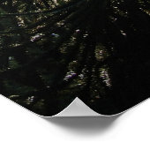 モンキーパズル ポスター (角)