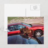 モンキービジネス ポストカード (正面/裏面)