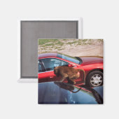 モンキービジネス マグネット (正面/裏面)