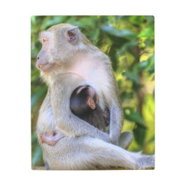 モンキーファミリー メタルプリント