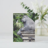 モンキーフォレストハガキ ポストカード (スタンド正面)