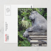 モンキーフォレストハガキ ポストカード (正面/裏面)