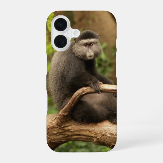 モンキーフォンケース iPhone 16ケース (裏面)