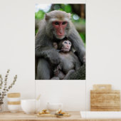 モンキーブレッ食べ物を与えストのベビー ポスター (キッチン)