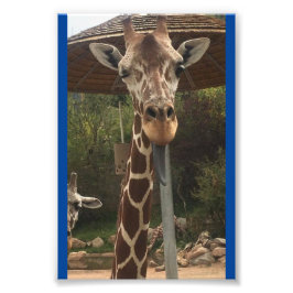 モンキーボーイ4X6プリント#2 フォトプリント           