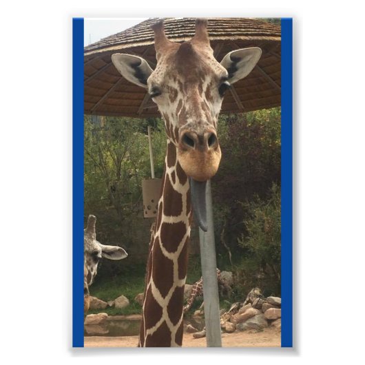 モンキーボーイ4X6プリント#2 フォトプリント            (正面)