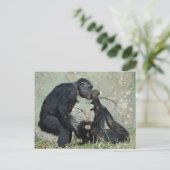 モンキーポストカード ポストカード (スタンド正面)